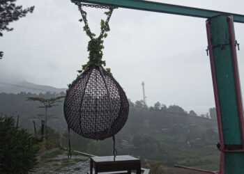 Sky Nest Sevillage foto Google Contributor Mbie Debby